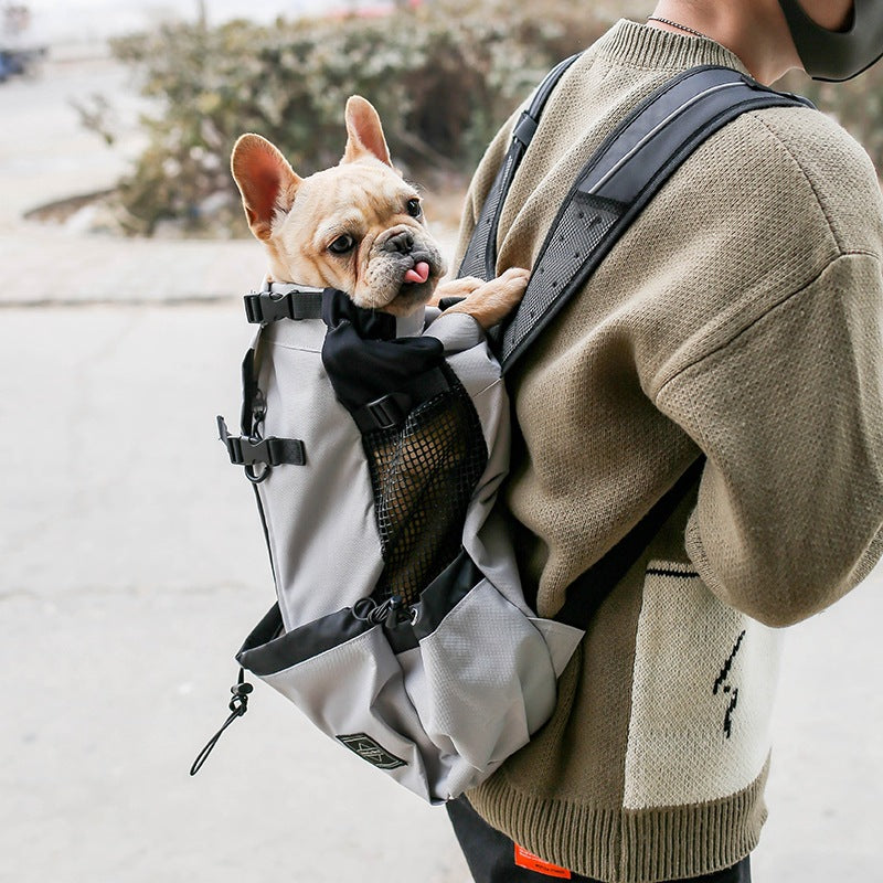 Active pet owner wearing a stylish and functional pet backpack, enjoying a comfortable and secure journey with their furry friend.