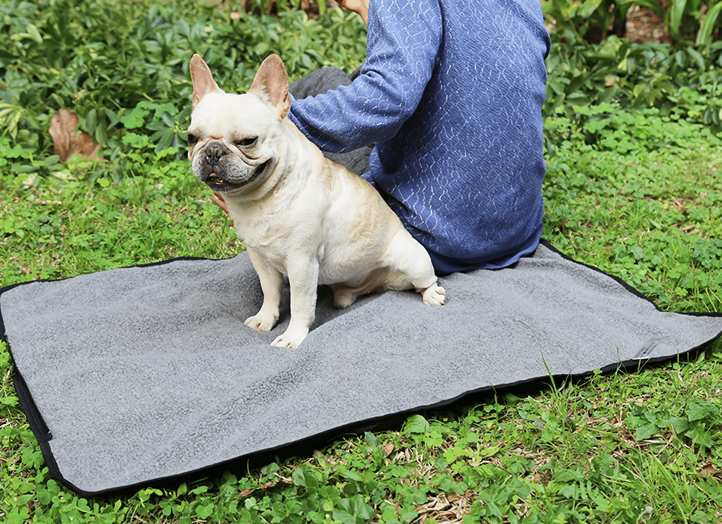 Foldable and portable pet blanket for outdoor adventures.