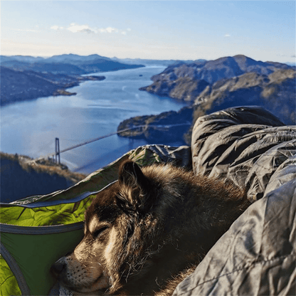 A detailed shot highlighting the plush fabric and integrated features of a hammock designed for ultimate comfort and relaxation in camping and backpacking settings.