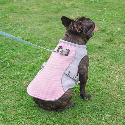 Pet vest with a built-in handle and leash attachment for additional control and support during outdoor activities.