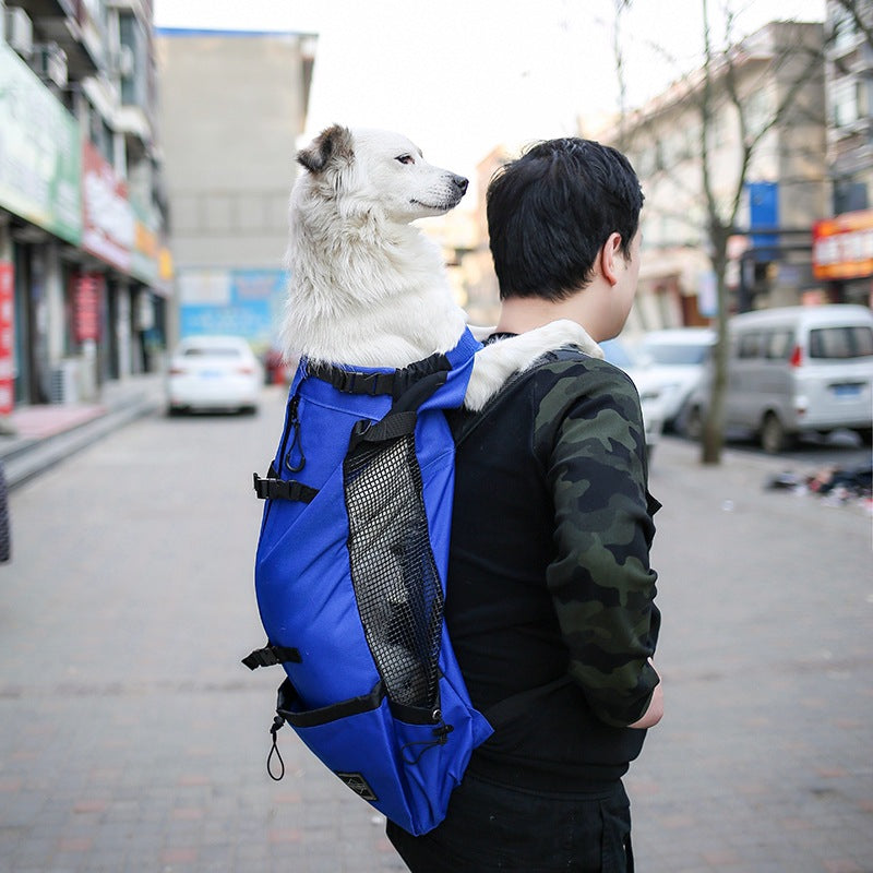 Detailed shot of the adjustable straps on the pet backpack, providing a customized and comfortable fit for the wearer.