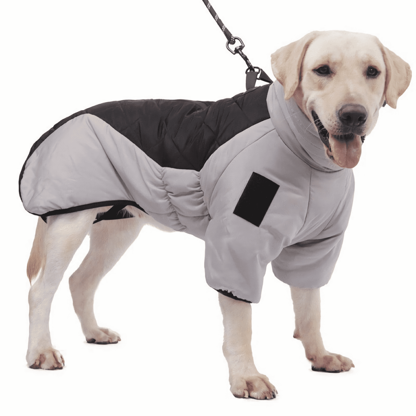 Adjustable pet vest with premium warm-keeping filling for outdoor adventures.