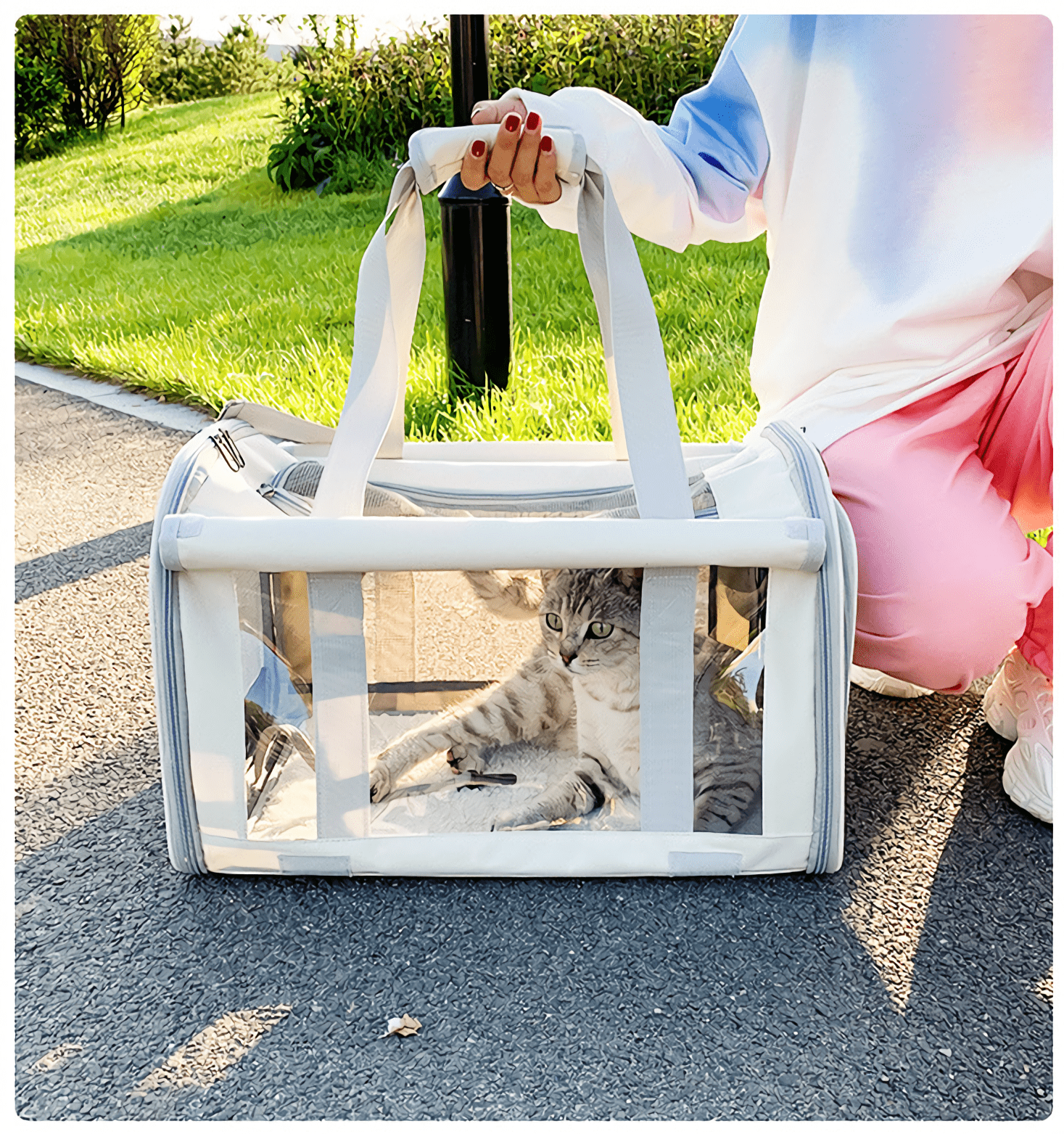 Premium travel companion bag, offering a cozy retreat for your pet on the go.