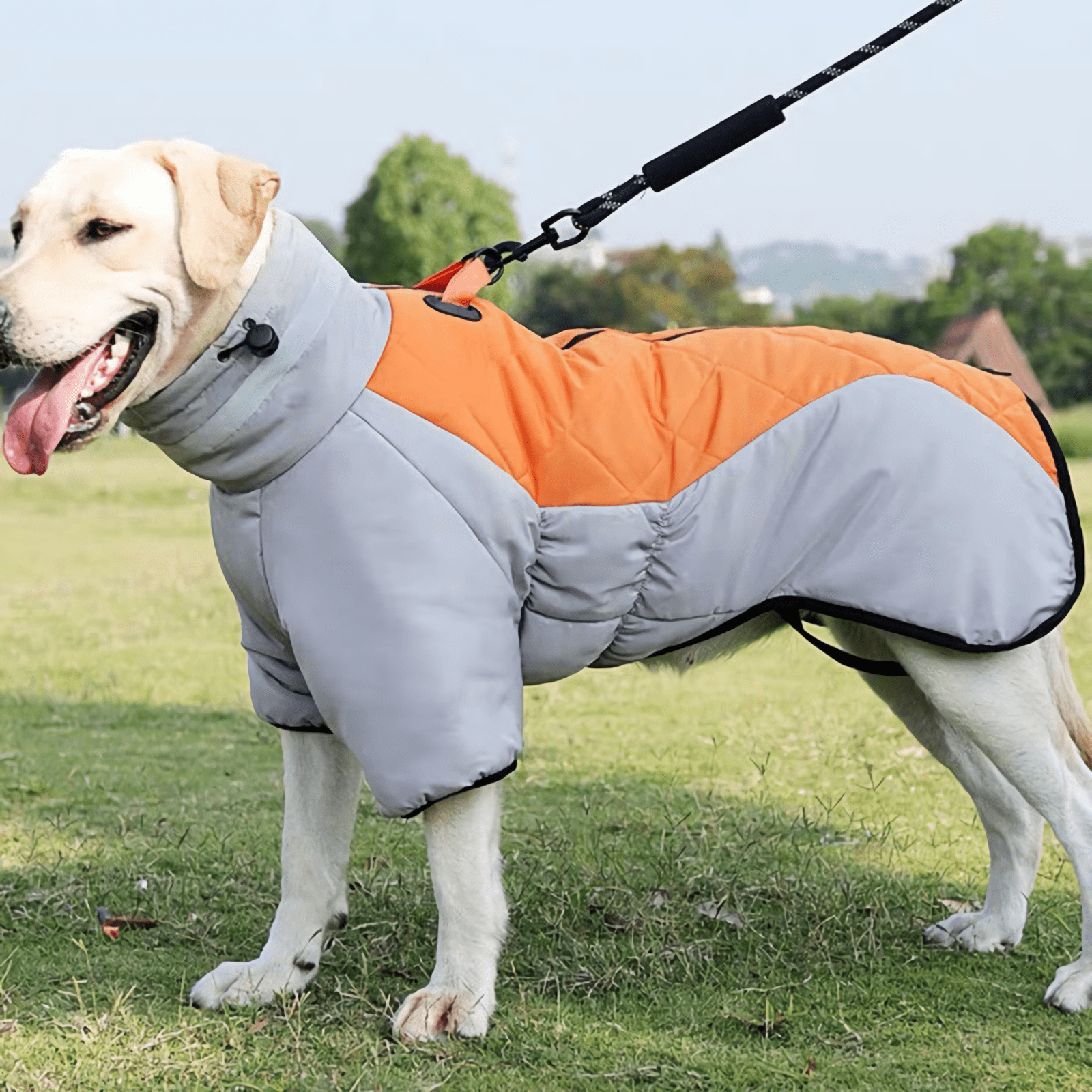 Durable pet vest designed for safety and comfort during camping and hiking.