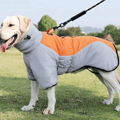 Durable pet vest designed for safety and comfort during camping and hiking.