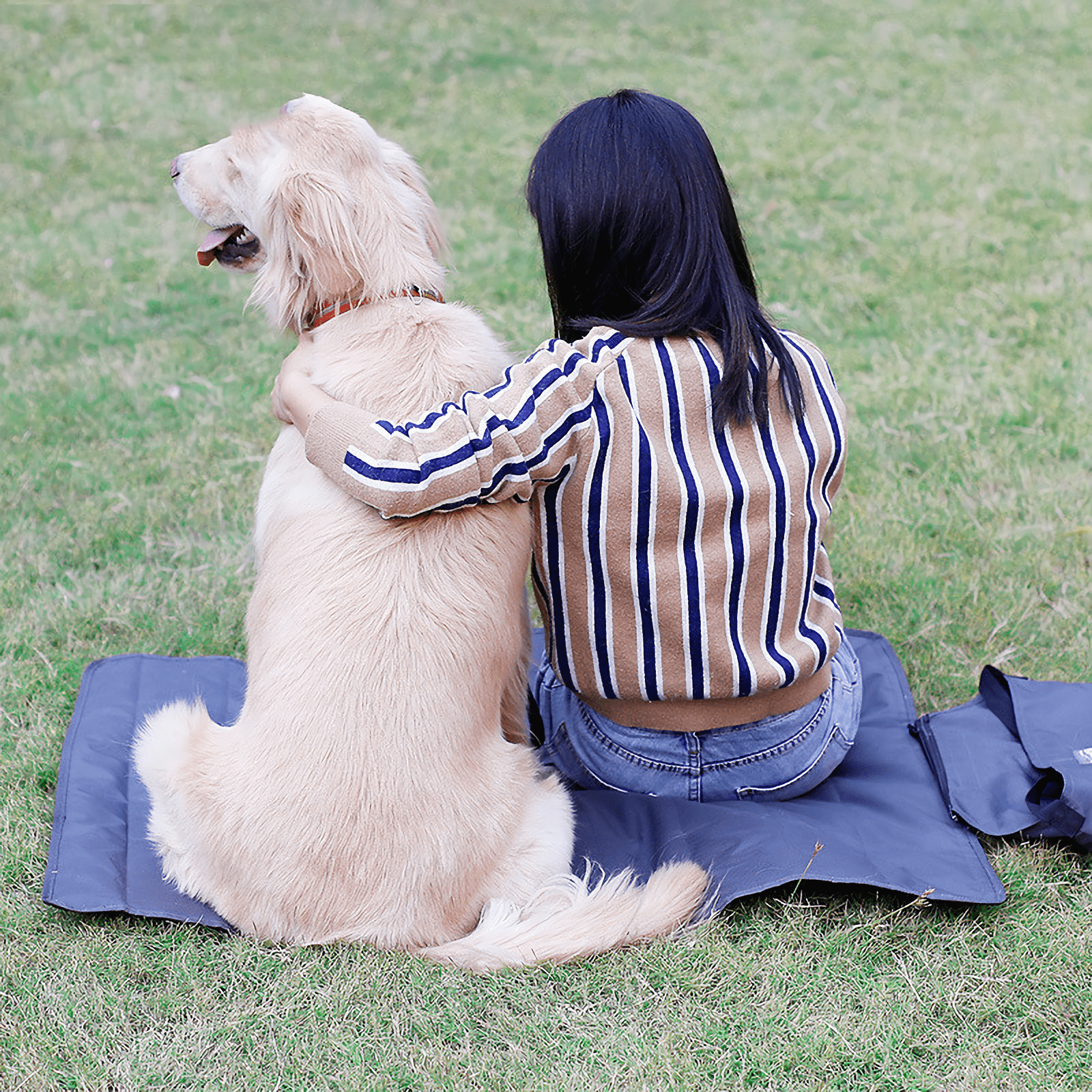 Waterproof dog and cat blanket for warmth on-the-go.