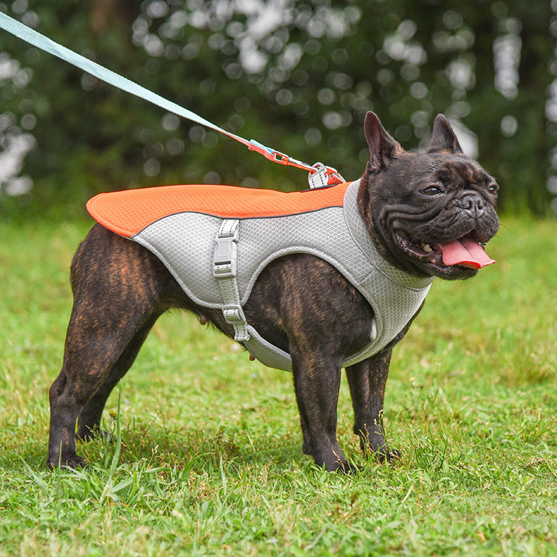 Durable and adjustable pet vest, crafted from premium safety materials, ensuring comfort and safety during outdoor adventures.